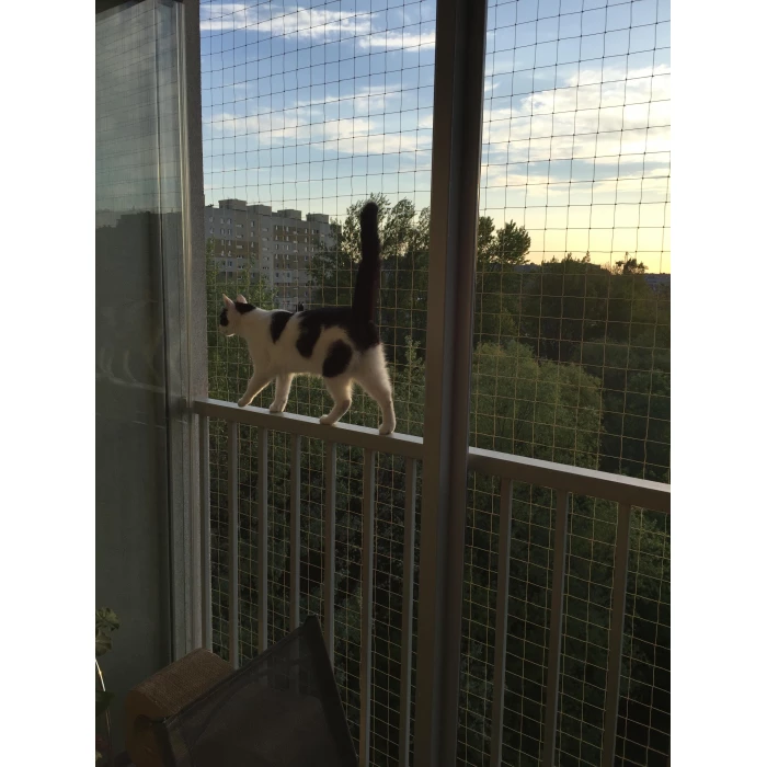Zestaw 2x3m bez wiercenia z siatka na balkon dla kota. Kocia siatka balkonowa oczko 50x50mm. 