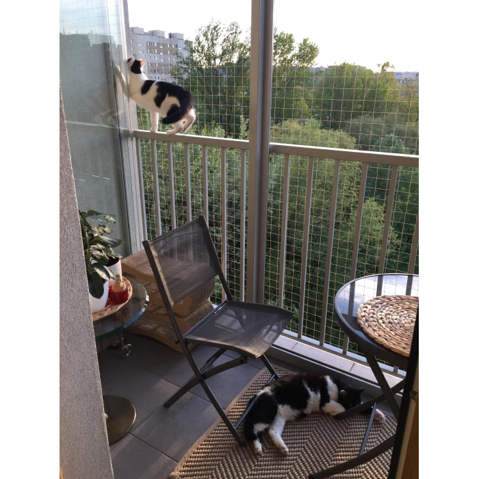 Zestaw 2x3m bez wiercenia z siatka na balkon dla kota. Kocia siatka balkonowa oczko 50x50mm. 