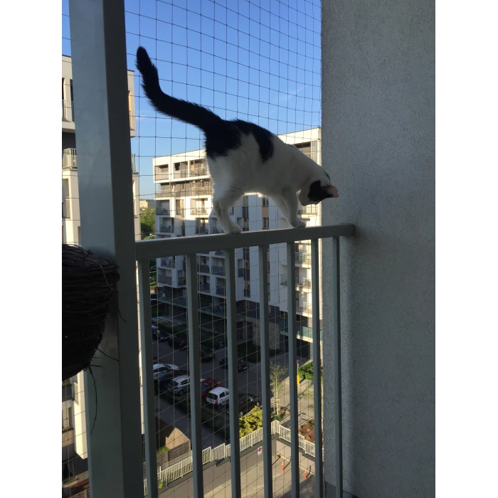 Zestaw 8x2m bez wiercenia z siatka na balkon dla kota. Kocia siatka balkonowa oczko 50x50mm. 