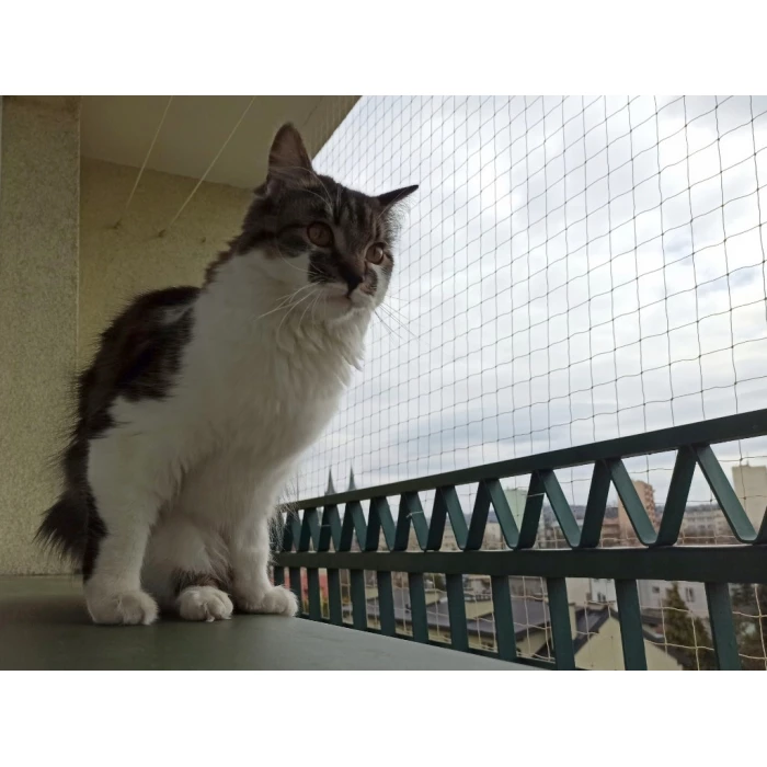 Siatka na balkon dla kota. Kocia siatka. Oczko 28x28mm. 