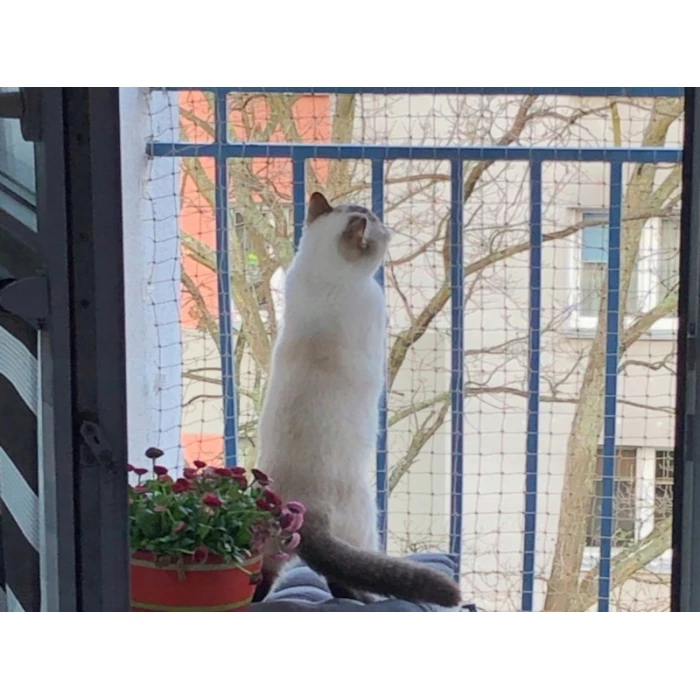 Premium siatka na koty na balkon 2x3m. Zestaw montażowy bez wiercenia.