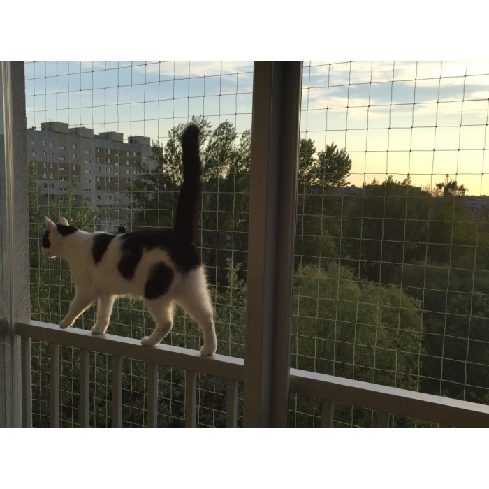 Zestaw 4x2m bez wiercenia z siatka na balkon dla kota. Kocia siatka balkonowa oczko 50x50mm. 