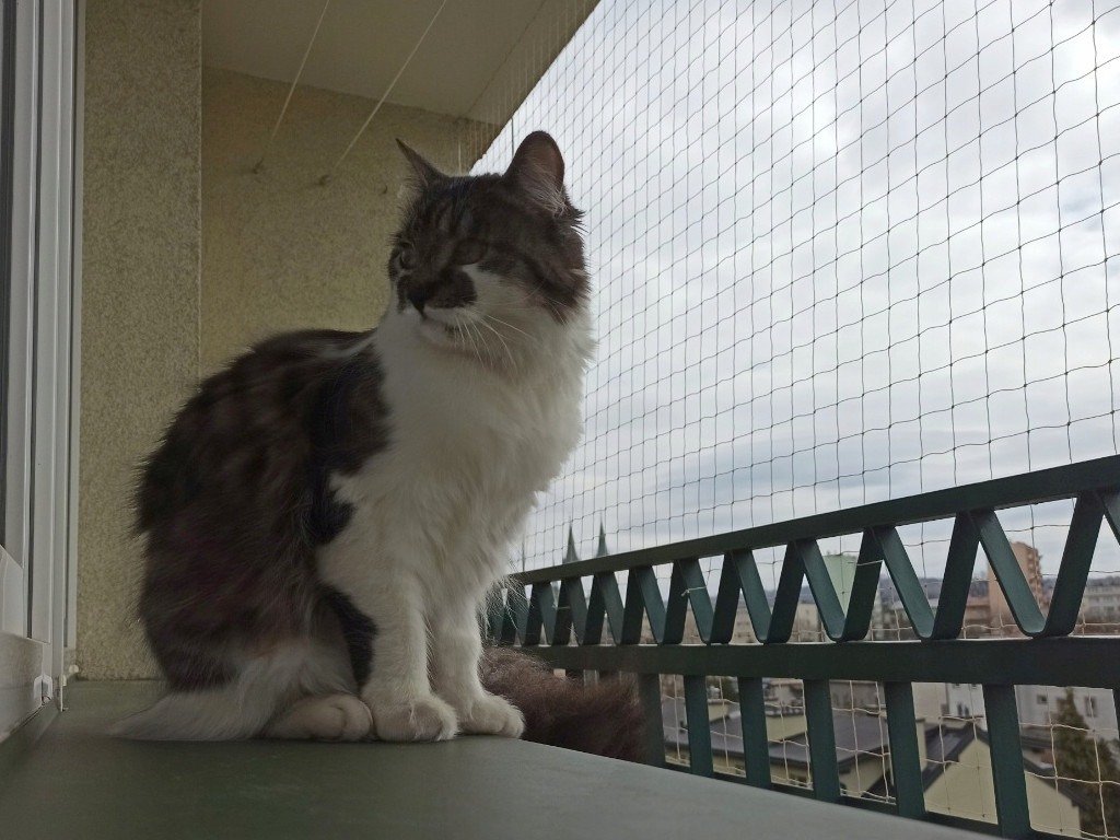 siatka na balkon bez wiercenia montaż na zaczepy